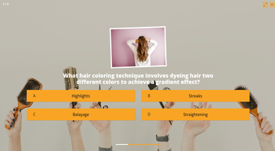 EleganceLocks Trivia